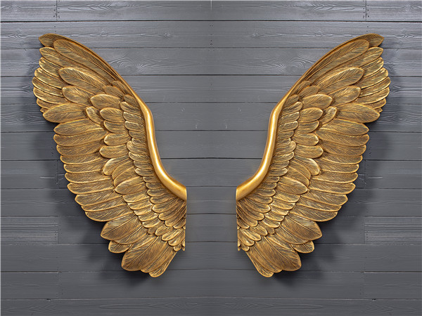 HXC03 wings 30x80x6cm