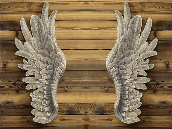 HXC04 wings 40x100x6cm
